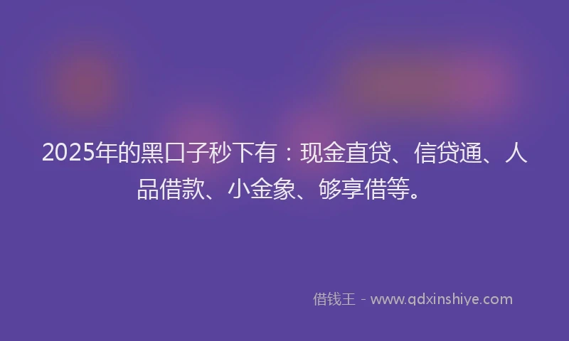 2025年的黑口子秒下有：现金直贷、信贷通、人品借款、小金象、够享借等。