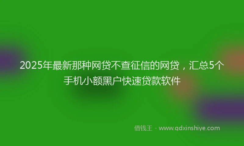 2025年最新那种网贷不查征信的网贷，汇总5个手机小额黑户快速贷款软件