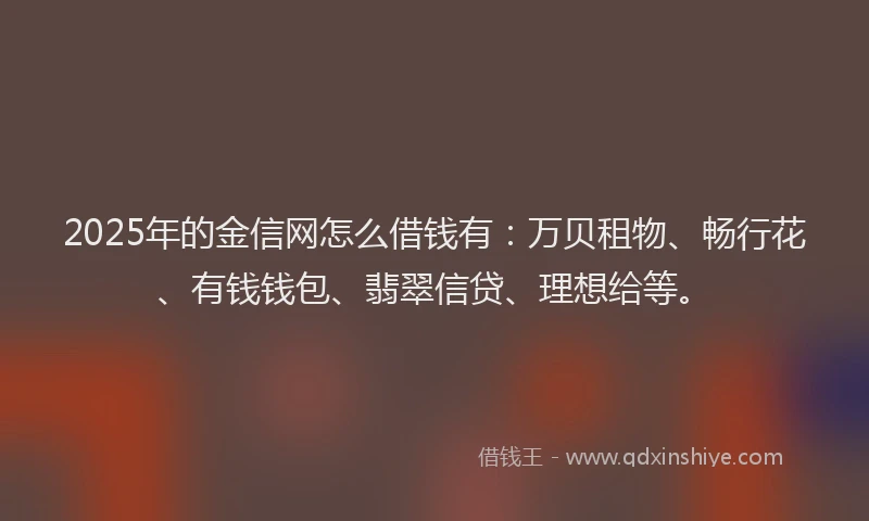 2025年的金信网怎么借钱有：万贝租物、畅行花、有钱钱包、翡翠信贷、理想给等。