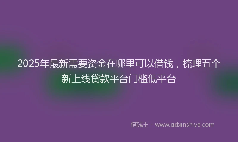 2025年最新需要资金在哪里可以借钱，梳理五个新上线贷款平台门槛低平台