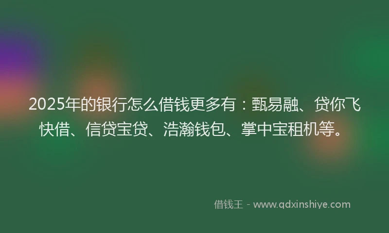 2025年的银行怎么借钱更多有：甄易融、贷你飞快借、信贷宝贷、浩瀚钱包、掌中宝租机等。