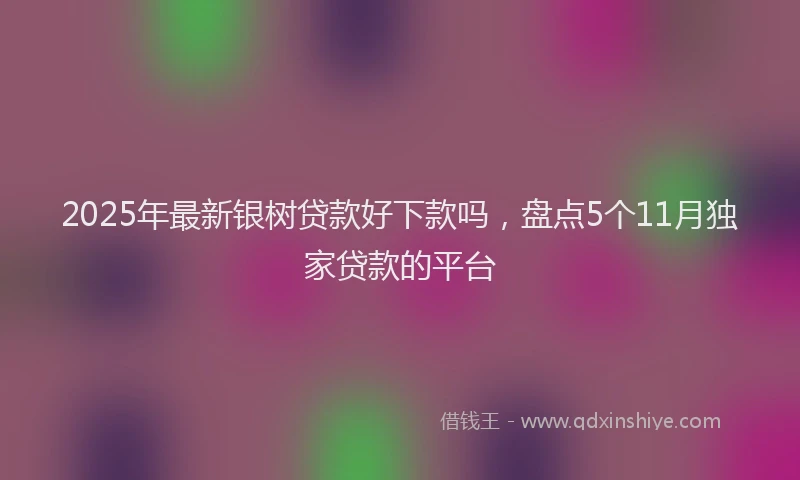 2025年最新银树贷款好下款吗，盘点5个11月独家贷款的平台