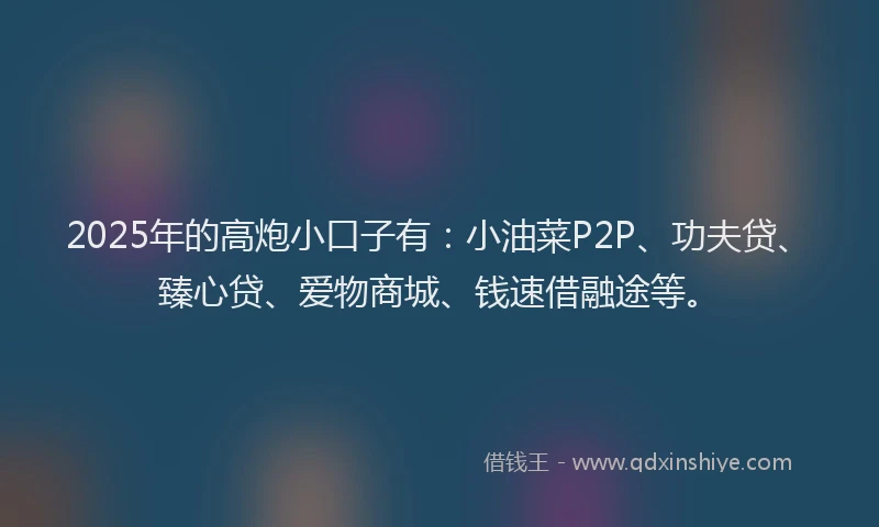 2025年的高炮小口子有：小油菜P2P、功夫贷、臻心贷、爱物商城、钱速借融途等。