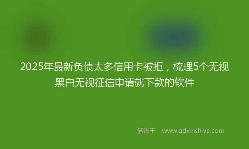 2025年最新负债太多信用卡被拒，梳理5个无视黑白无视征信申请就下款的软件