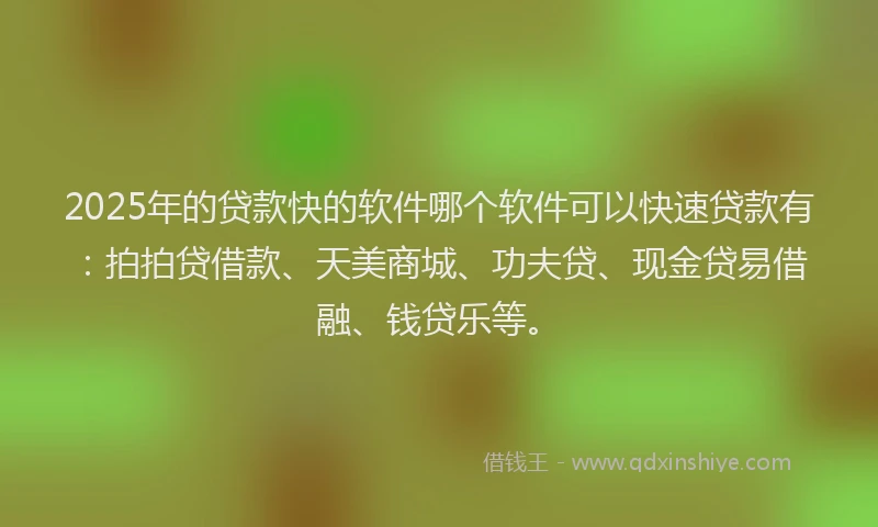 2025年的贷款快的软件哪个软件可以快速贷款有：拍拍贷借款、天美商城、功夫贷、现金贷易借融、钱贷乐等。