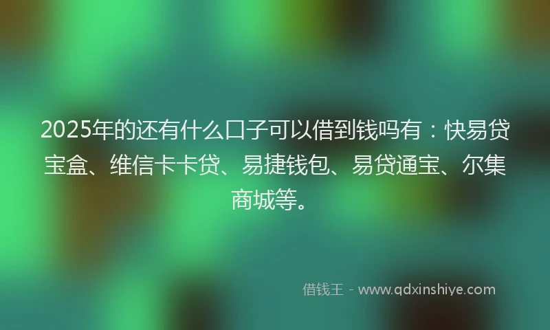 2025年的还有什么口子可以借到钱吗有：快易贷宝盒、维信卡卡贷、易捷钱包、易贷通宝、尔集商城等。