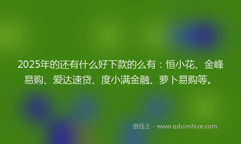 2025年的还有什么好下款的么有：恒小花、金峰易购、爱达速贷、度小满金融、萝卜易购等。