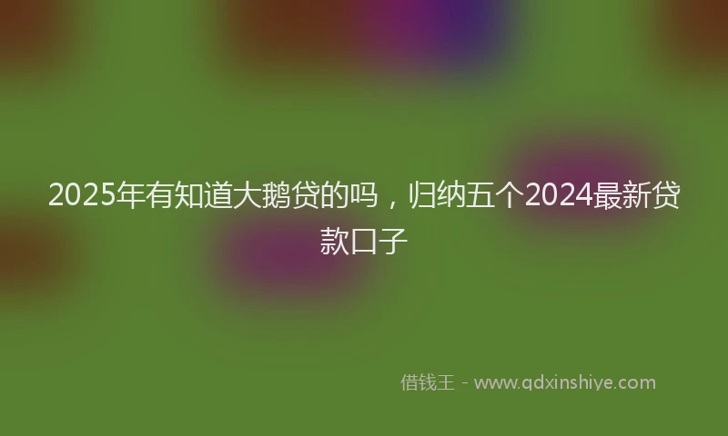 2025年有知道大鹅贷的吗，归纳五个2024最新贷款口子