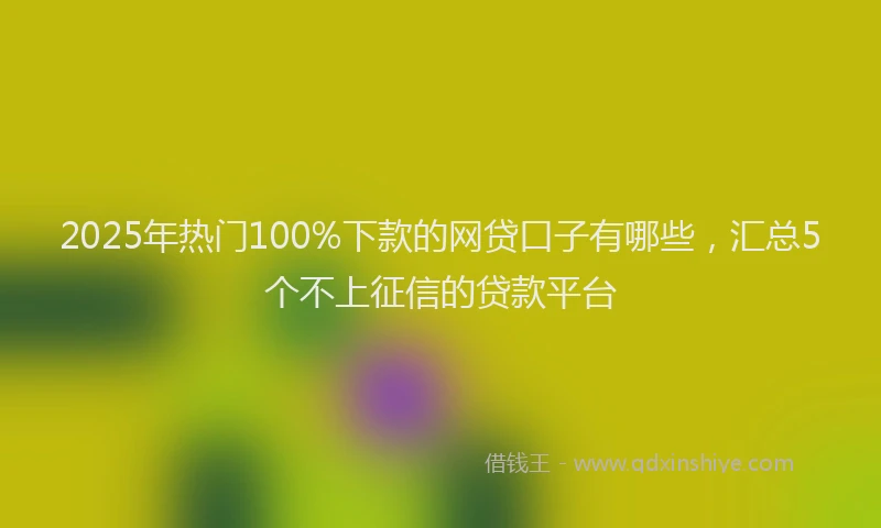 2025年热门100%下款的网贷口子有哪些，汇总5个不上征信的贷款平台
