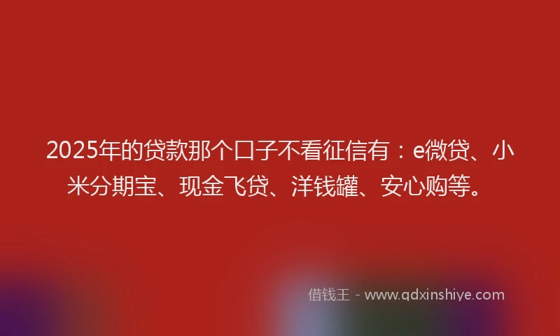 2025年的贷款那个口子不看征信有：e微贷、小米分期宝、现金飞贷、洋钱罐、安心购等。