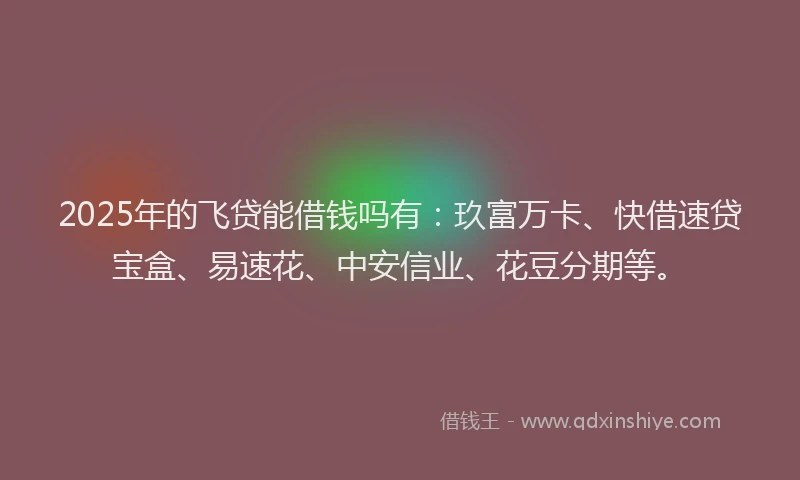 2025年的飞贷能借钱吗有：玖富万卡、快借速贷宝盒、易速花、中安信业、花豆分期等。