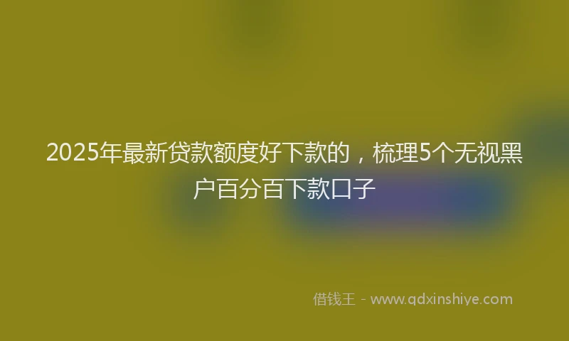 2025年最新贷款额度好下款的，梳理5个无视黑户百分百下款口子