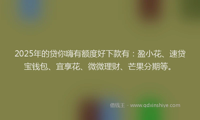 2025年的贷你嗨有额度好下款有：盈小花、速贷宝钱包、宜享花、微微理财、芒果分期等。