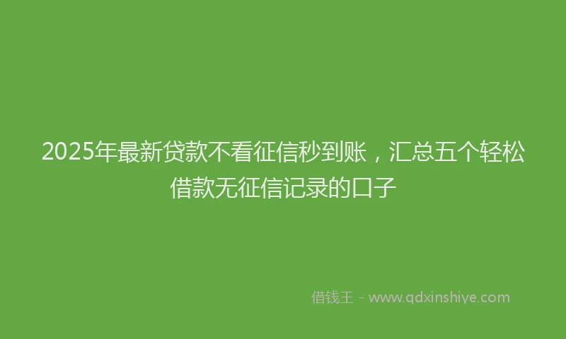 2025年最新贷款不看征信秒到账，汇总五个轻松借款无征信记录的口子