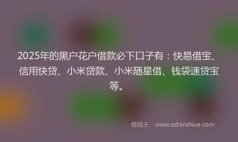 2025年的黑户花户借款必下口子有:快易借宝、信用快贷、小米贷款、小米随星借、钱袋速贷宝等。