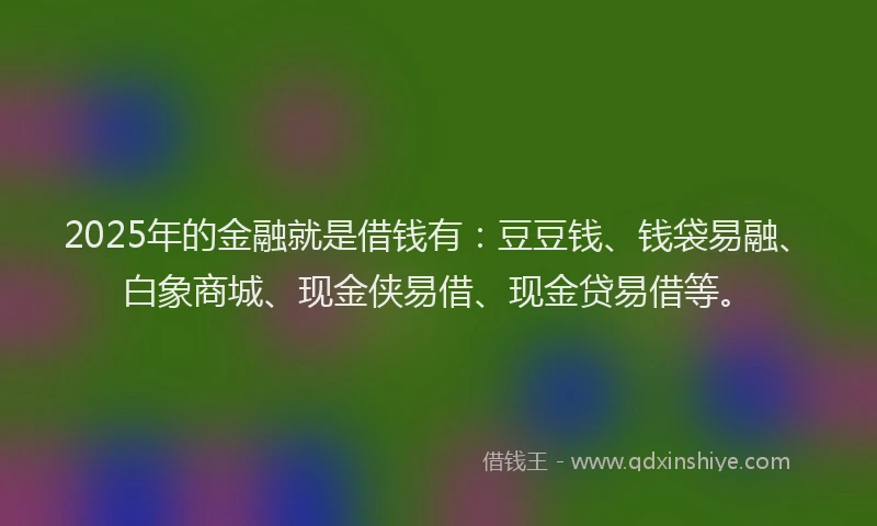 2025年的金融就是借钱有：豆豆钱、钱袋易融、白象商城、现金侠易借、现金贷易借等。