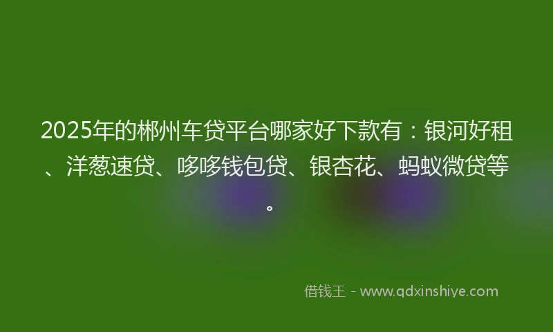 2025年的郴州车贷平台哪家好下款有：银河好租、洋葱速贷、哆哆钱包贷、银杏花、蚂蚁微贷等。
