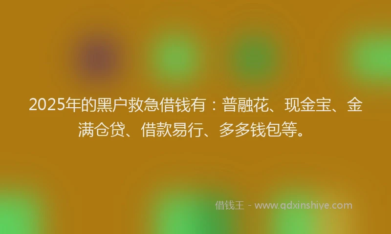 2025年的黑户救急借钱有：普融花、现金宝、金满仓贷、借款易行、多多钱包等。
