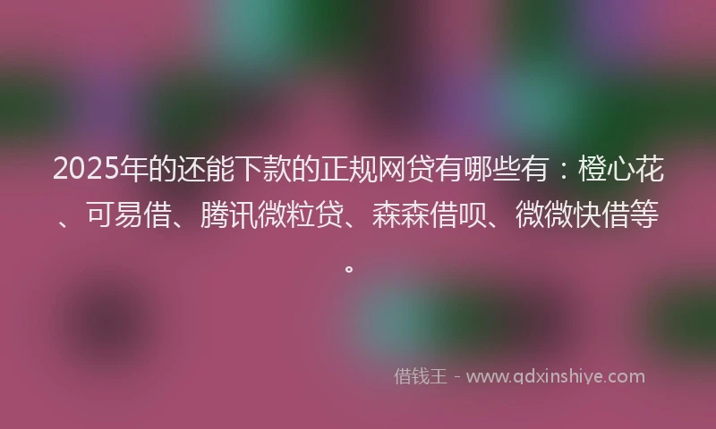 2025年的还能下款的正规网贷有哪些有：橙心花、可易借、腾讯微粒贷、森森借呗、微微快借等。
