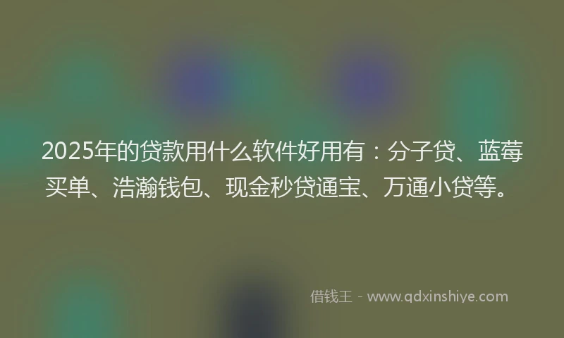 2025年的贷款用什么软件好用有：分子贷、蓝莓买单、浩瀚钱包、现金秒贷通宝、万通小贷等。