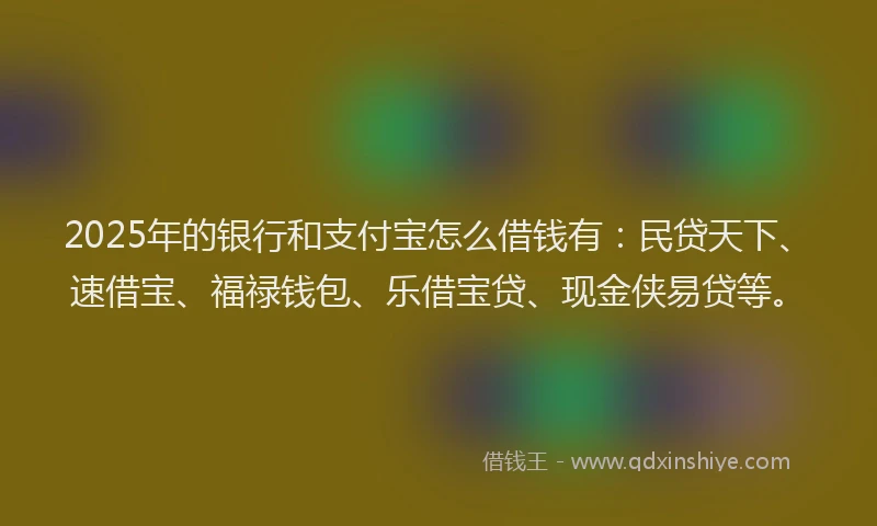 2025年的银行和支付宝怎么借钱有：民贷天下、速借宝、福禄钱包、乐借宝贷、现金侠易贷等。