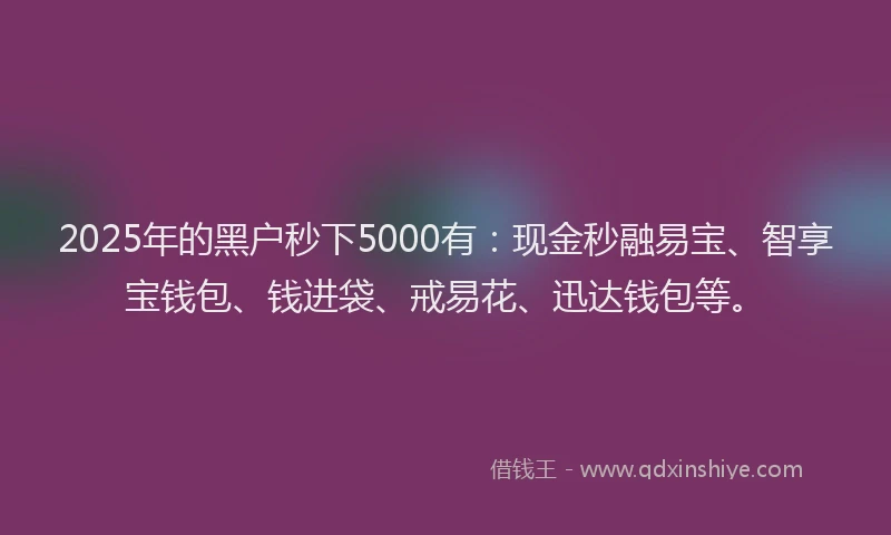 2025年的黑户秒下5000有：现金秒融易宝、智享宝钱包、钱进袋、戒易花、迅达钱包等。