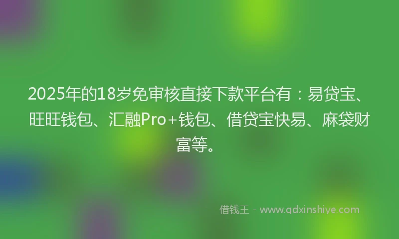2025年的18岁免审核直接下款平台有：易贷宝、旺旺钱包、汇融Pro+钱包、借贷宝快易、麻袋财富等。