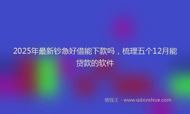2025年最新钞急好借能下款吗，梳理五个12月能贷款的软件