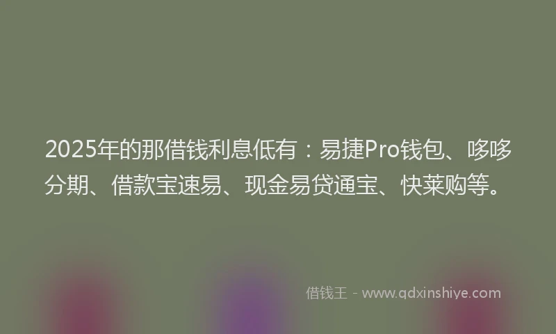 2025年的那借钱利息低有：易捷Pro钱包、哆哆分期、借款宝速易、现金易贷通宝、快莱购等。
