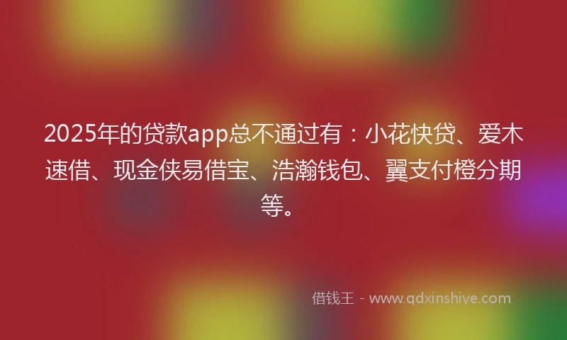 2025年的贷款app总不通过有：小花快贷、爱木速借、现金侠易借宝、浩瀚钱包、翼支付橙分期等。