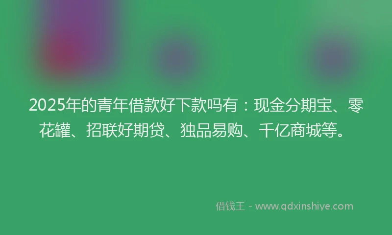 2025年的青年借款好下款吗有：现金分期宝、零花罐、招联好期贷、独品易购、千亿商城等。