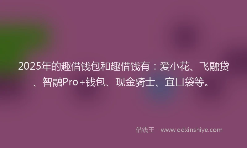 2025年的趣借钱包和趣借钱有：爱小花、飞融贷、智融Pro+钱包、现金骑士、宜口袋等。