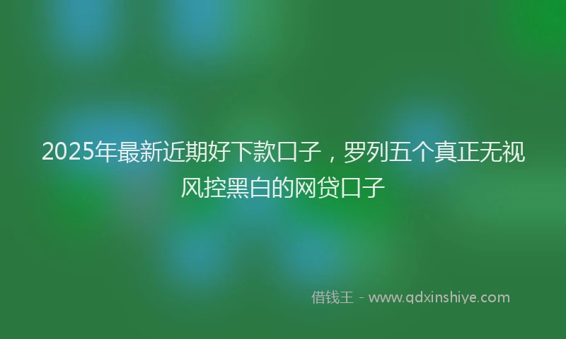 2025年最新近期好下款口子，罗列五个真正无视风控黑白的网贷口子