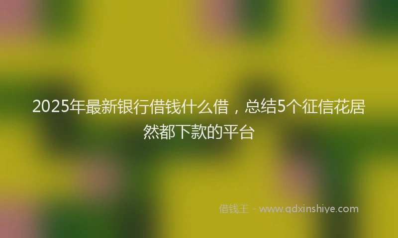 2025年最新银行借钱什么借，总结5个征信花居然都下款的平台