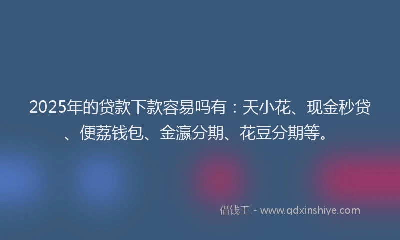 2025年的贷款下款容易吗有：天小花、现金秒贷、便荔钱包、金瀛分期、花豆分期等。