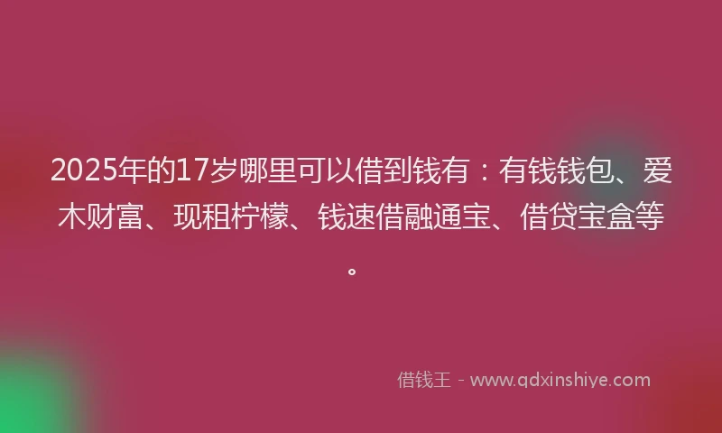 2025年的17岁哪里可以借到钱有：有钱钱包、爱木财富、现租柠檬、钱速借融通宝、借贷宝盒等。