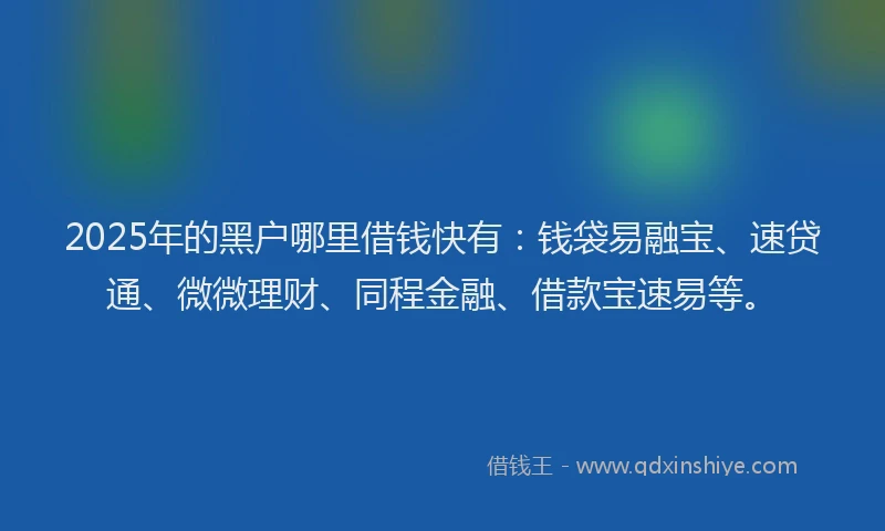 2025年的黑户哪里借钱快有：钱袋易融宝、速贷通、微微理财、同程金融、借款宝速易等。