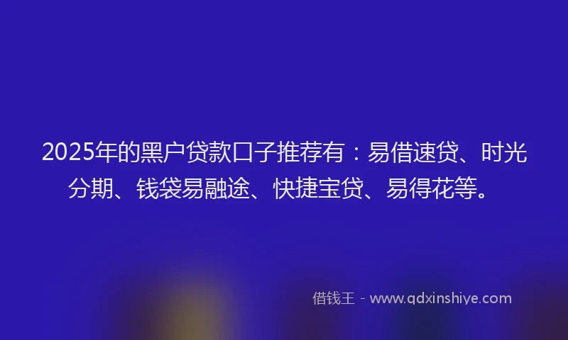 2025年的黑户贷款口子推荐有：易借速贷、时光分期、钱袋易融途、快捷宝贷、易得花等。