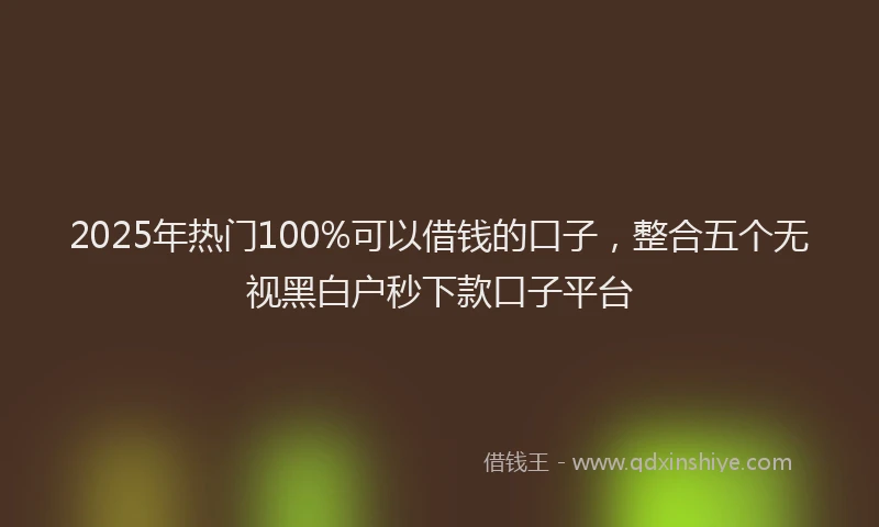 2025年热门100%可以借钱的口子，整合五个无视黑白户秒下款口子平台