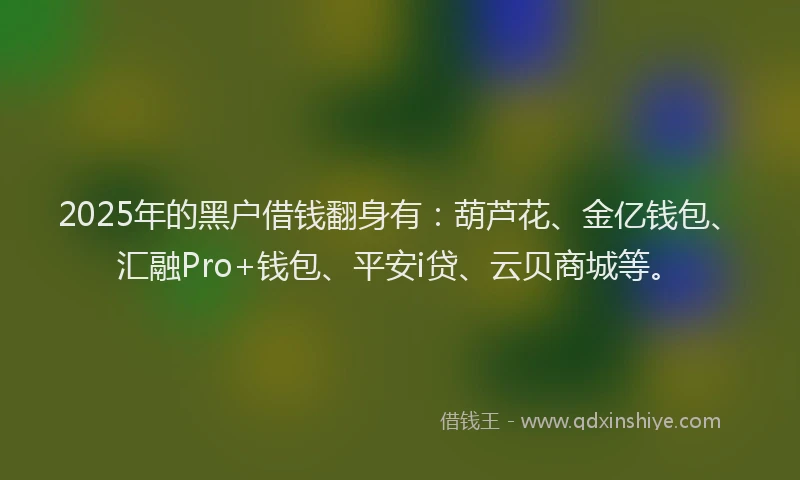2025年的黑户借钱翻身有：葫芦花、金亿钱包、汇融Pro+钱包、平安i贷、云贝商城等。