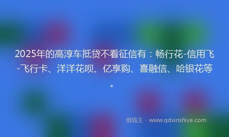 2025年的高淳车抵贷不看征信有：畅行花-信用飞-飞行卡、洋洋花呗、亿享购、喜融信、哈银花等。