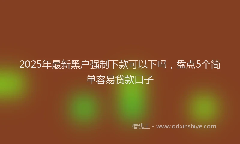 2025年最新黑户强制下款可以下吗，盘点5个简单容易贷款口子