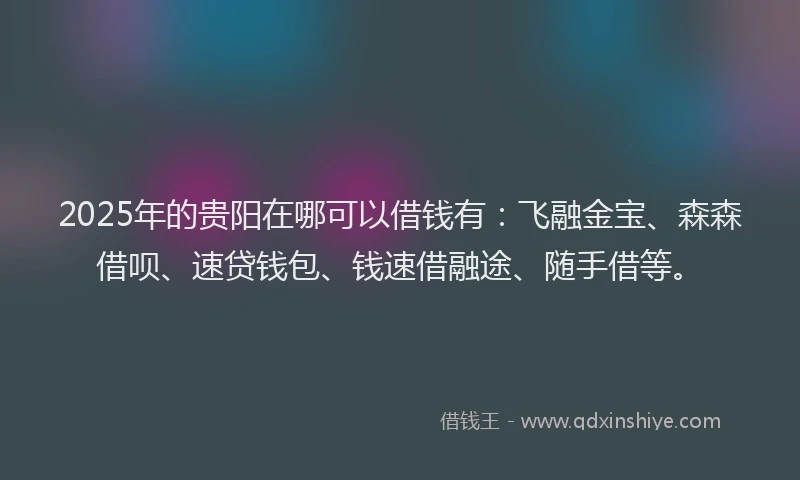 2025年的贵阳在哪可以借钱有：飞融金宝、森森借呗、速贷钱包、钱速借融途、随手借等。