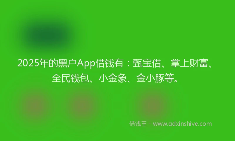 2025年的黑户App借钱有：甄宝借、掌上财富、全民钱包、小金象、金小豚等。