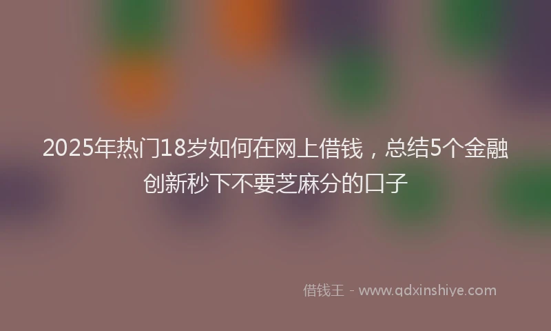 2025年热门18岁如何在网上借钱，总结5个金融创新秒下不要芝麻分的口子