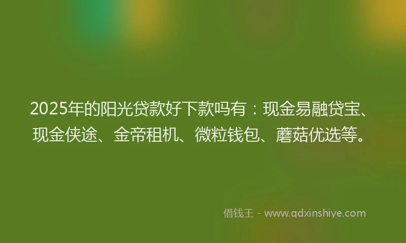2025年的阳光贷款好下款吗有：现金易融贷宝、现金侠途、金帝租机、微粒钱包、蘑菇优选等。