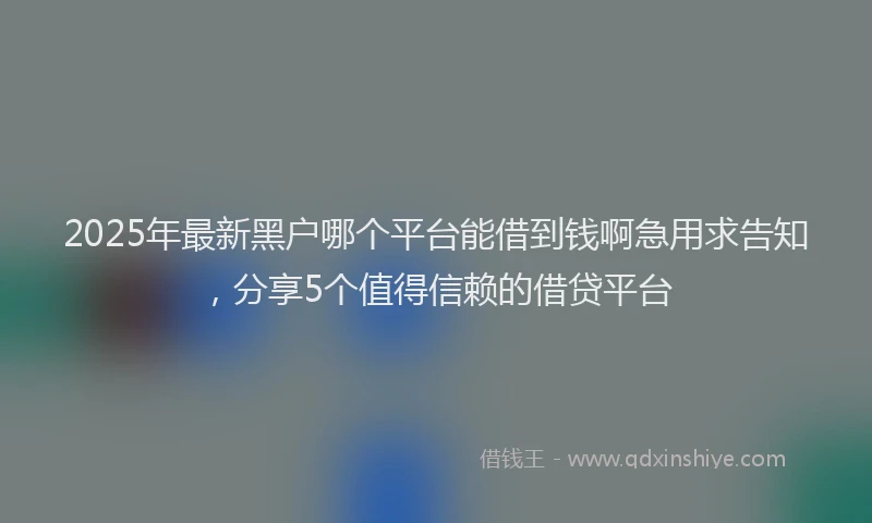 2025年最新黑户哪个平台能借到钱啊急用求告知，分享5个值得信赖的借贷平台