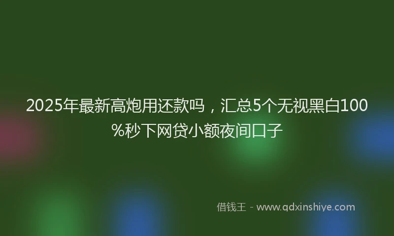 2025年最新高炮用还款吗，汇总5个无视黑白100%秒下网贷小额夜间口子