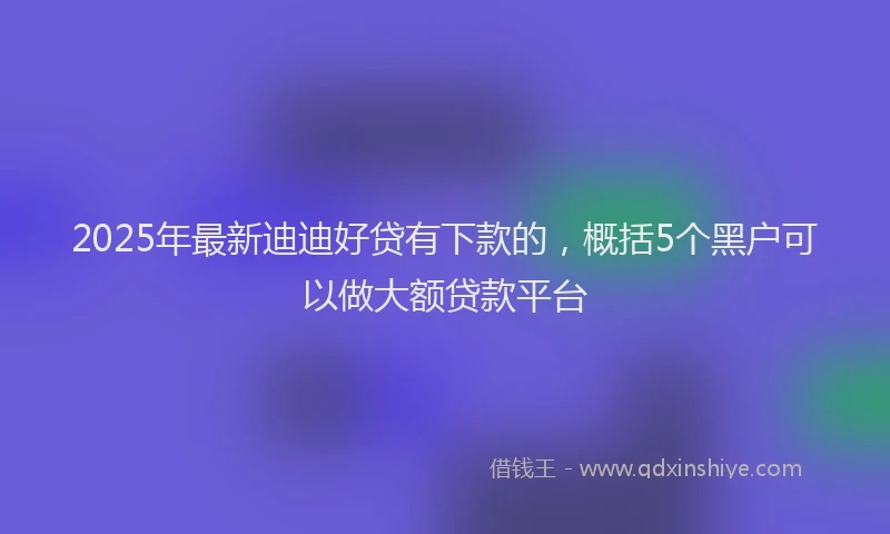 2025年最新迪迪好贷有下款的，概括5个黑户可以做大额贷款平台