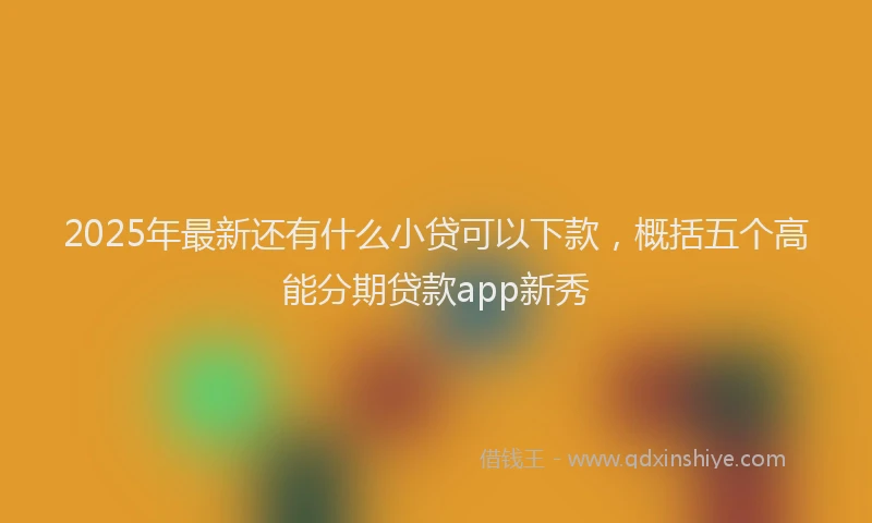 2025年最新还有什么小贷可以下款，概括五个高能分期贷款app新秀